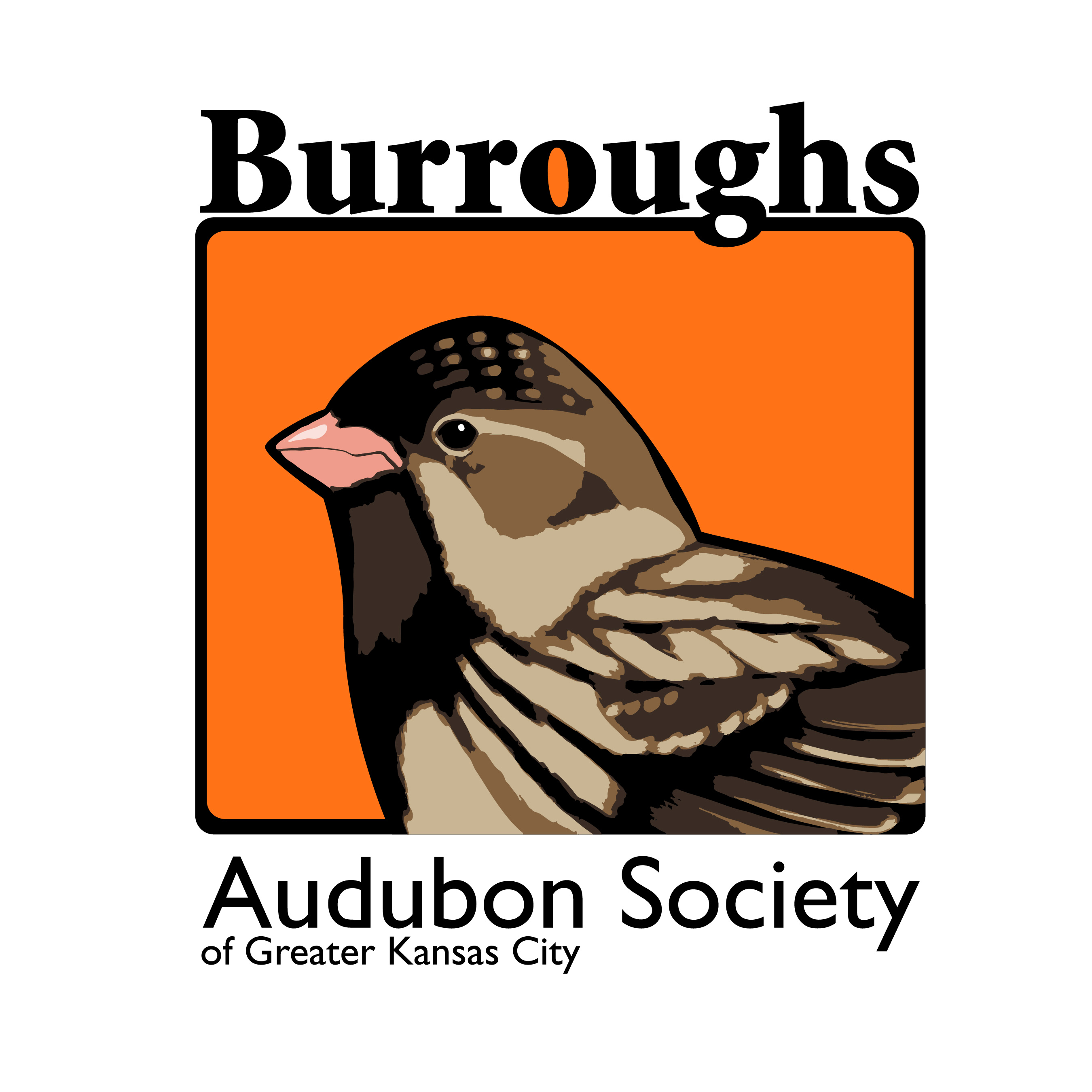 Burroughs Audubon 